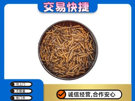 崇左市宁明回收散虫草
